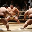 Jak oderwać zapaśników sumo od ziemi? Japońska linia lotnicza znalazła sposób