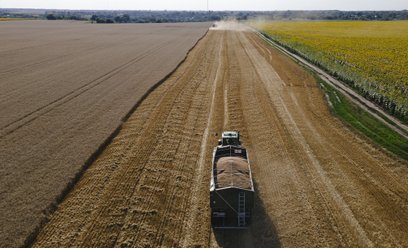 Rząd nie otworzy rynku przed żniwami. Chodzi o interes polskich rolników
