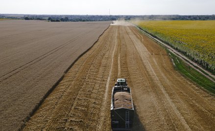 Ukraińska konkurencja będzie impulsem do modernizacji polskiego sektora rolno-spożywczego