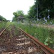 Zwolnieniu z podatku od nieruchomości dla gruntów pod torami i bocznicą - wyrok WSA