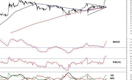 Byki tygodnia, czyli trzy spółki z szansami na zwyżki...