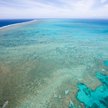 Wielka Rafa Koralowa trafi na listę obiektów zagrożonych? ONZ za, Australia nie
