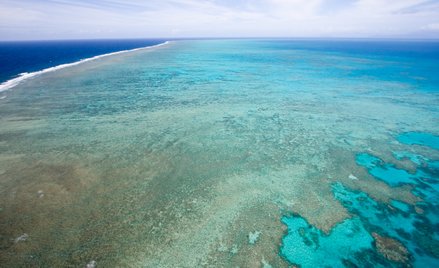 Wielka Rafa Koralowa trafi na listę obiektów zagrożonych? ONZ za, Australia nie