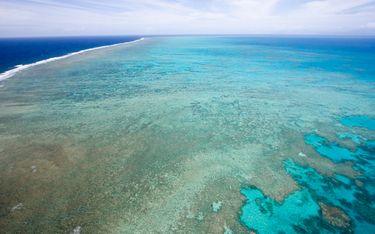 Wielka Rafa Koralowa trafi na listę obiektów zagrożonych? ONZ za, Australia nie