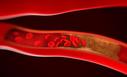 Genetyczne źródło młodości