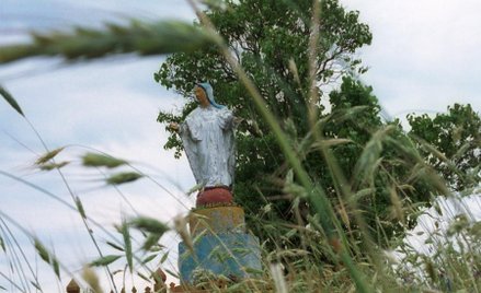 Z wsi Ostrówki pozostała tylko figura Matki Boskiej