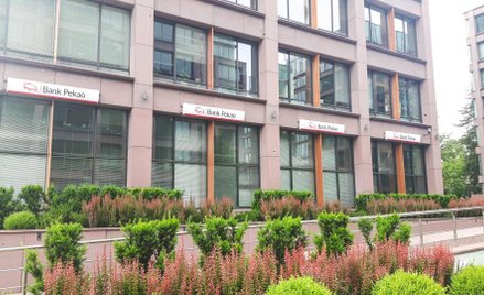 Pekao: rewolucja odwołana