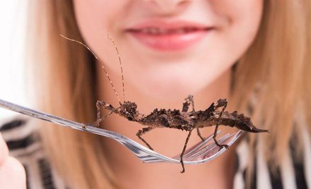 Nowe jedzenie Europejczyków pod lepszym nadzorem Unii