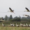 Obszary Natura 2000 podzieliły Sejm