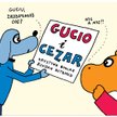 Gucio i Cezar - recenzja książki