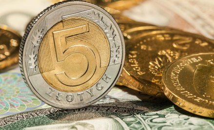 TFI: Prowizja w dół, wynik w górę