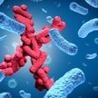 Przeżyć epidemię nieznanej choroby X