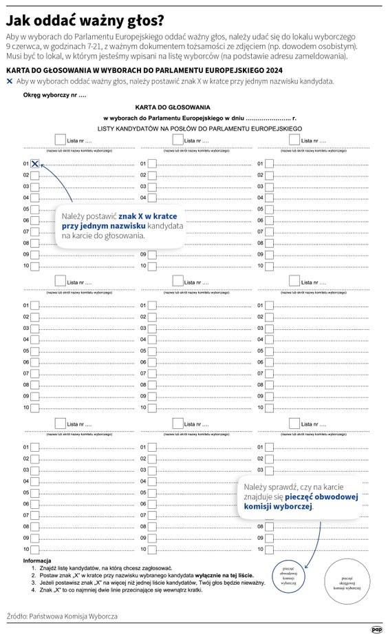 Jak oddać ważny głos w wyborach do PE