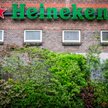 Heineken na piwnej fali