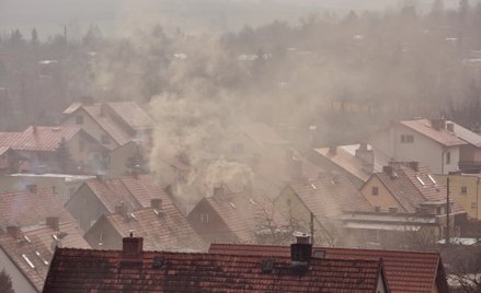 W polskich domach jednorodzinnych w całym kraju wymienionych powinno być jeszcze około 3 milionów ko