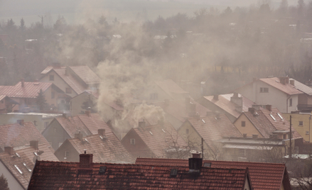 Raport: Niemal wszyscy w Europie oddychają toksycznym powietrzem