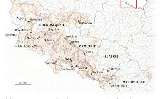 Straty po powodzi w Polsce (dane GUS)