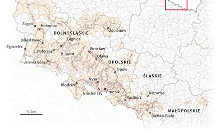 Straty po powodzi w Polsce (dane GUS)
