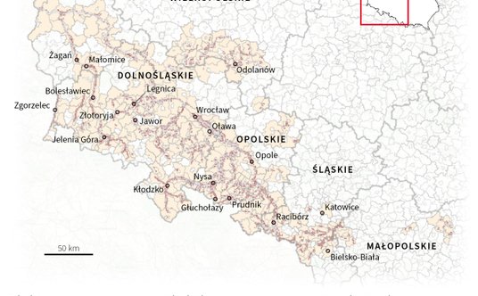 Straty po powodzi w Polsce (dane GUS)