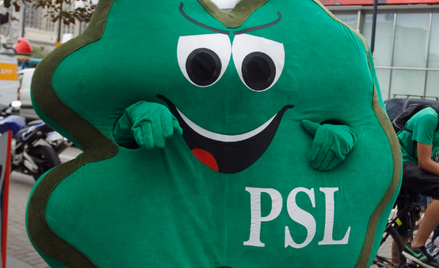 Adam Hofman: PSL to chłopi malowani