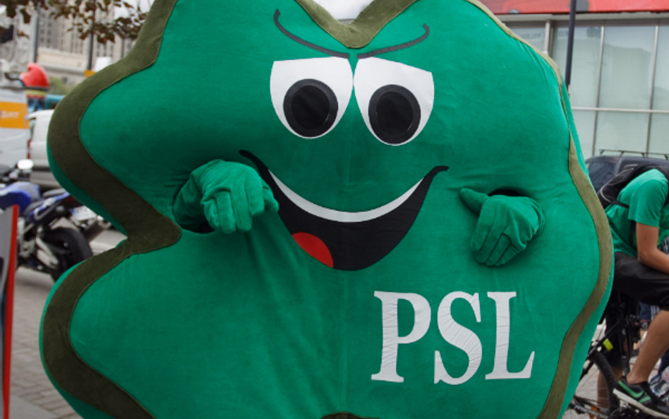 Adam Hofman: PSL to chłopi malowani