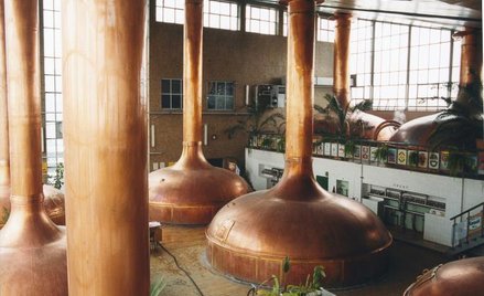 Jeszcze niedawno kadzie czekały na wypełnienie dziś nowe piwa Leżajsk zaczynają pojawiać się w sklep