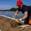 Niemcy i Holandia to główne kierunki saksów Polaków