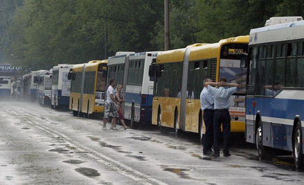 Krakowskie autobusy