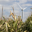 Energetyczny biznes łączy Żydów, Arabów i Amerykanów
