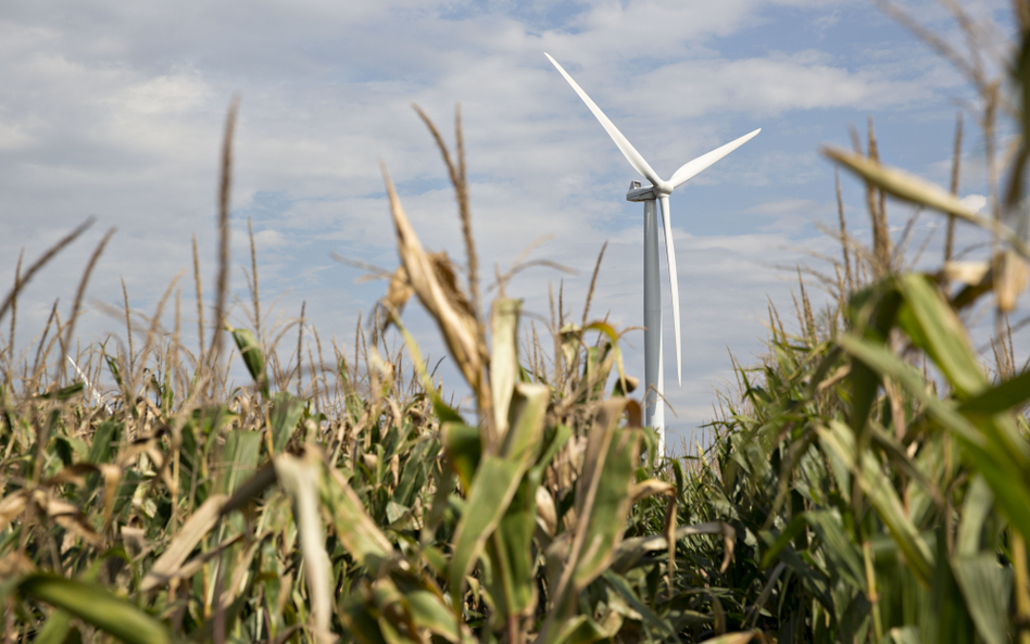 Energetyczny biznes łączy Żydów, Arabów i Amerykanów