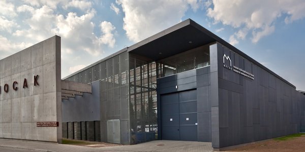 Bogusław Chrabota: Goły Piłsudski, czyli wszystko staje się wszystkim