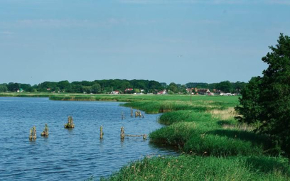 W rezerwacie znajdującym się niedaleko Szczecina stwierdzono obecność 240 gatunków ptaków
