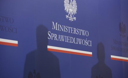 Sprawa Reformer Development: „Słup” i fałszywy kredyt