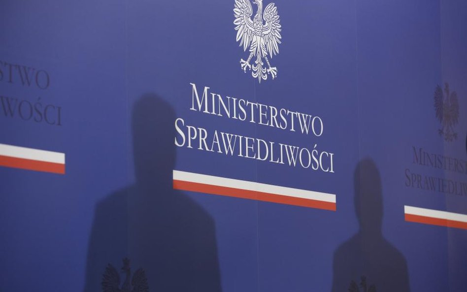 Sprawa Reformer Development: „Słup” i fałszywy kredyt