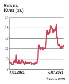 Sonel został wytypowany przez DM BDM. Na początku roku za akcję Sonela płacono niespełna 10 zł, a ob