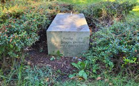 Zdewastowana rzeźba Aliny Szapocznikow pod opieką MSN