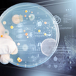 Nowy sposób na szpitalną bakterię: inteligentne antybiotyki