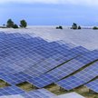 Najwięcej miejsc pracy w 2021 roku zapewnił rozwój energetyki słonecznej, w której zatrudnienie znal