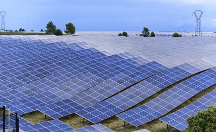Najwięcej miejsc pracy w 2021 roku zapewnił rozwój energetyki słonecznej, w której zatrudnienie znal