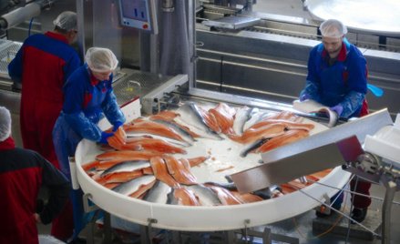 Nowe prawo pracy w Norwegii może pomóc Polakom