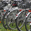 Nie każdy może prowadzić wypożyczalnię rowerów