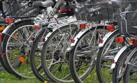 Nie każdy może prowadzić wypożyczalnię rowerów