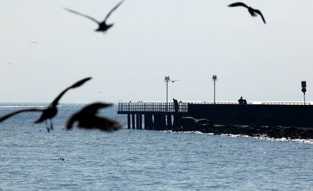 Odczytując informacje ze starych dzienników pokładowych 280 brytyjskich okrętów, ochotnicy odtworzą 