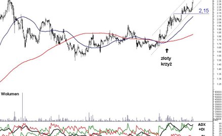 Kurs akcji Vistuli zbliża się do długoterminowego oporu. Czy bariera zostanie sforsowana?