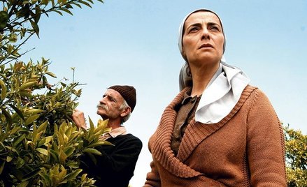 W „Drzewie cytrynowym” palestyńska wdowa (Hiam Abbass) walczy o sad z izraelskim ministrem obrony