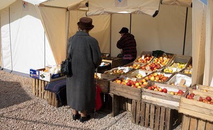 Wyższe podatki lokalne w 2012 r.