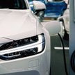 Samorządy budują floty aut na prąd