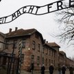 Jeden na 20 Brytyjczyków nie wierzy w Holokaust