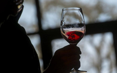 „Chamstwo" czyli Włosi aresztują wino z Krymu