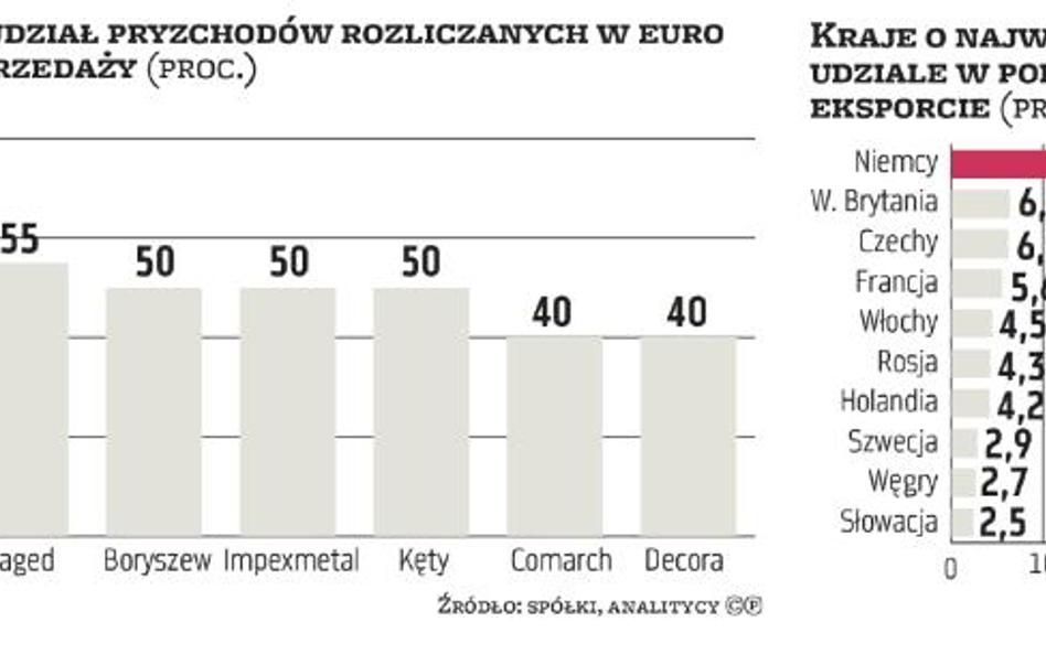 Osłabienie euro szkodzi polskim eksporterom, ale jest też nieliczne grono spółek, które mogą na tym zyskać